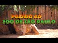 Passeio ao Zoo de São Paulo