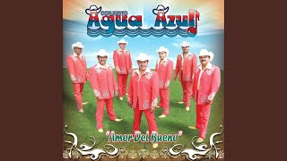 Amor del Bueno