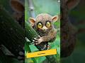 Phobia Explain in easy way 😱☺️ #trending #viral #shorts