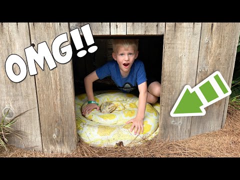 6-year-old-sneaks-into-python-cage!!!...and-then-this-happened