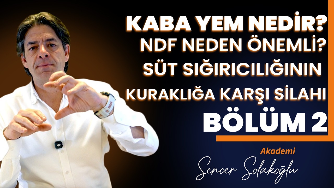 Kaba Yem Nedir? NDF Neden Önemli? Süt Sığırcılığının Kuraklığa Karşı Silahı - Bölüm 2
