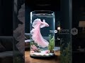 The Most Beautiful Fish in the World? 🐟✨😍