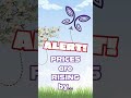 🚨Important Update: Upcoming Pricing Adjustments 🚨#beadstoreindia #craftsupplies #hobbystore
