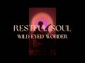 Wild Eyed Wonder - Restful Soul (Music Video)