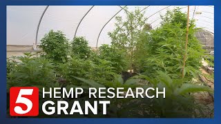 $5 million grant can make TSU the No. 1 hemp grower in the southeast