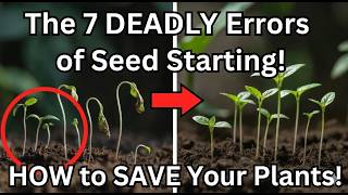 🌱 Seed Starting – The Most Common Mistakes & How to Avoid Them!