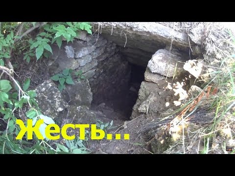 НАШЕЛ СТАРЫЕ ПОГРЕБА! ЧТО ЖЕ В НИХ ТАИТСЯ?