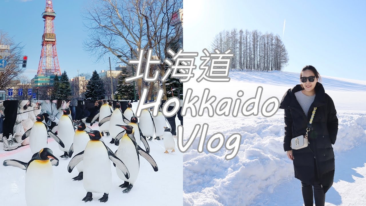 欣旅行 19一月北海道旅遊vlog 滑雪初體驗 看企鵝出巡 拼布之路包車遊 美食住宿推薦 Youtube