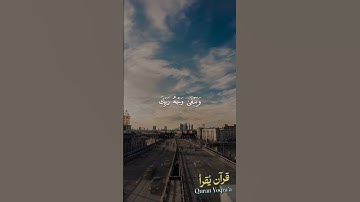 كل من عليها فان #سورة_الرحمن #القرآن_الكريم #احمد_العجمي #اكسبلور #راحة_نفسية #لايك #تلاوة_خاشعة