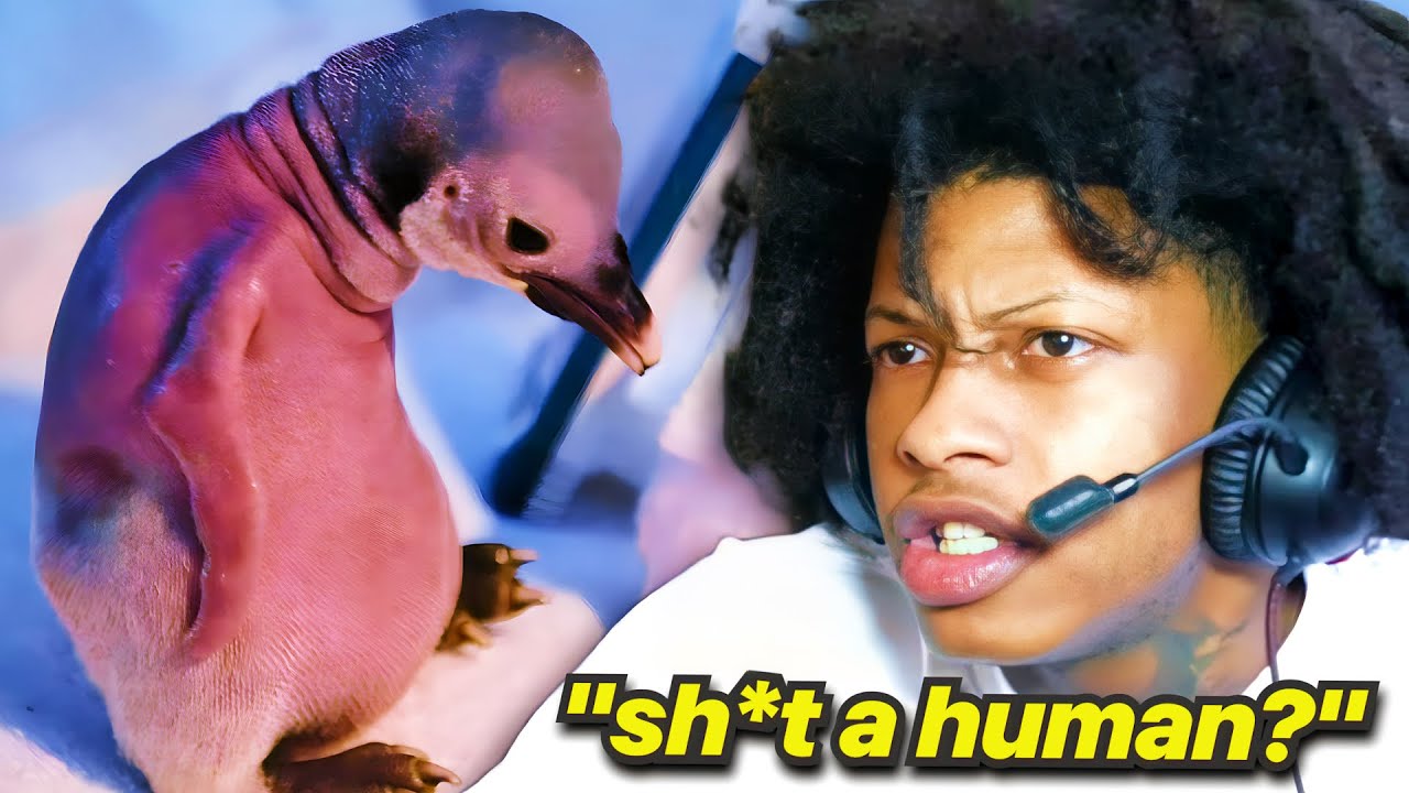 Regtoofunny Discovers Top 15 Hairless Animals! - YouTube