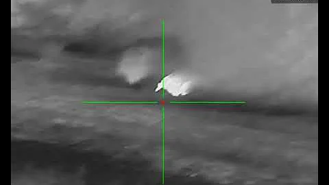 BA 9:02:25 Pig Kill 2