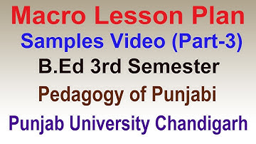 macro lesson plan pedagogy of punjabi b.ed 3rd semester punjab university chandigarh