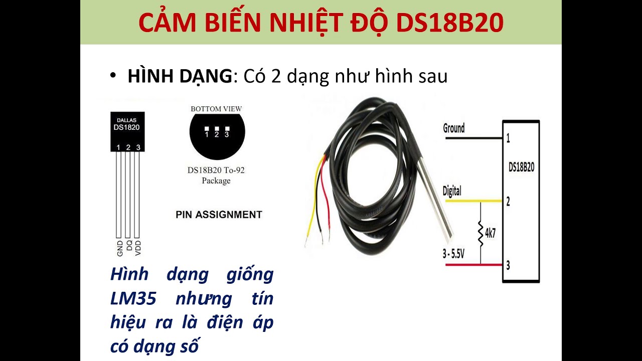 {CB DS18B20}} CẢM BIẾN DS18B20 - YouTube