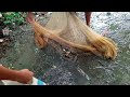 মাছ ধরার সুন্দর একটি দৃশ্য। খাল বিলে প্রচুর মাছ পাওয়া যায়। fish market?