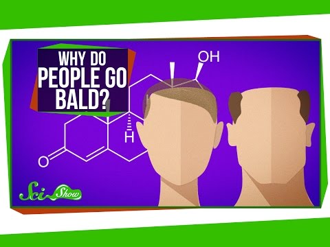 Why Do People Go Bald?