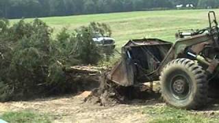 Pushing Down Tree with Hough 90C Wheel Loader