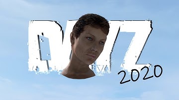 DayZ 2020 in a nutshell... 😂