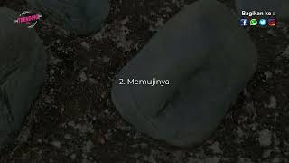 VIDEO INI HANYA BOLEH DILIHAT SUAMI ISTRI! 3 Hal Sederhana Yang Disukai Istri dari Suaminya