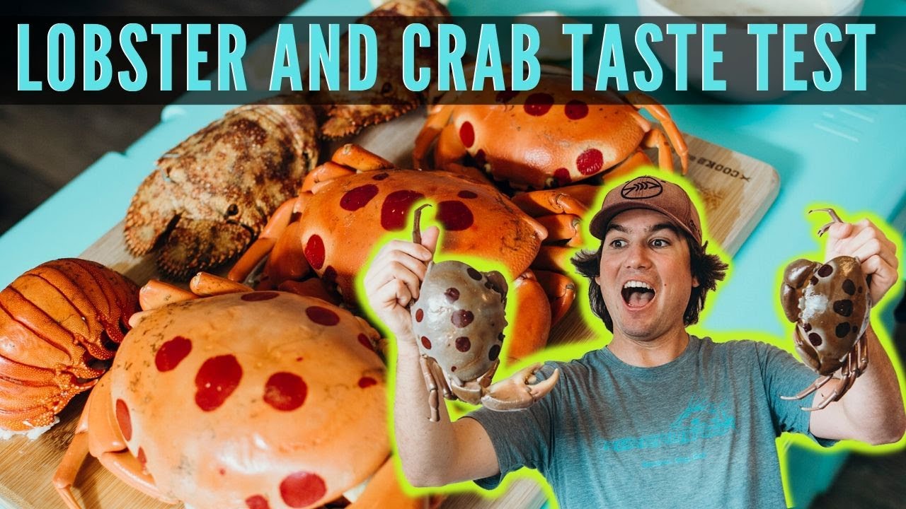 Slipper Lobster vs 7/11 Crab vs Spiny Lobster Taste Test {Night