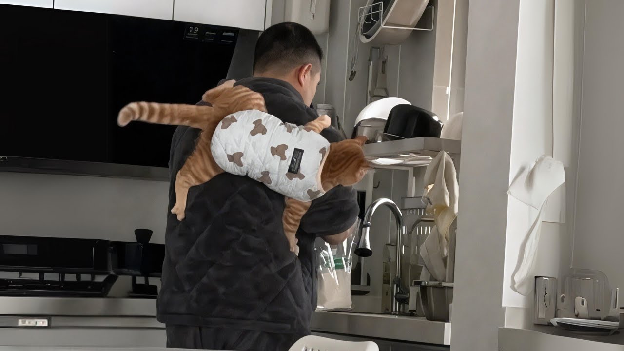 Dad with Cat He Did Not Want ?