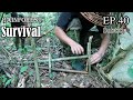 Thử Thách Sinh Tồn Trong Rừng Mưa Một Mình -EP.40 |Survival Alone In The Rainforest