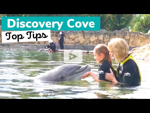 DISCOVERY COVE: What