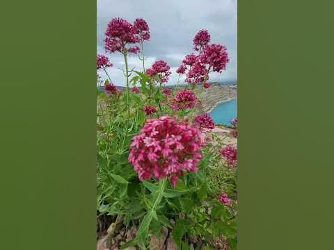 озеро 🏞 - YouTube
