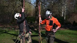 Tree Climbing - Aerial Rescue - Damaged and Undamaged Rope