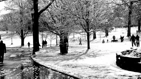 Reverent Christmas by  Bobby Sikes