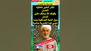 نوصيك يا وليدي اروع امثال جدي قالو ناس زمان Shorts حجايات امثال و ح ك م قصص Viral 