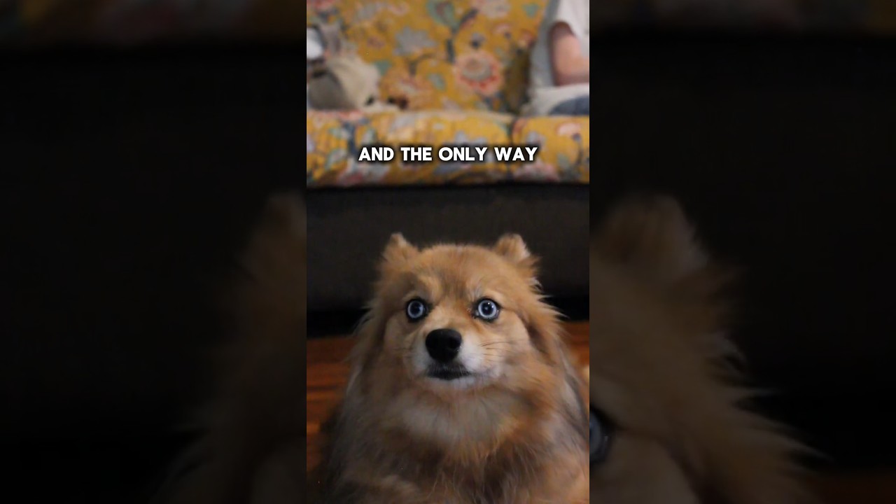 Would You Help Us...😭