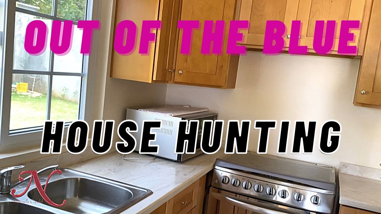 Внутри проекта «Out of the Blue» || Discovery Bay, Сент-Энн