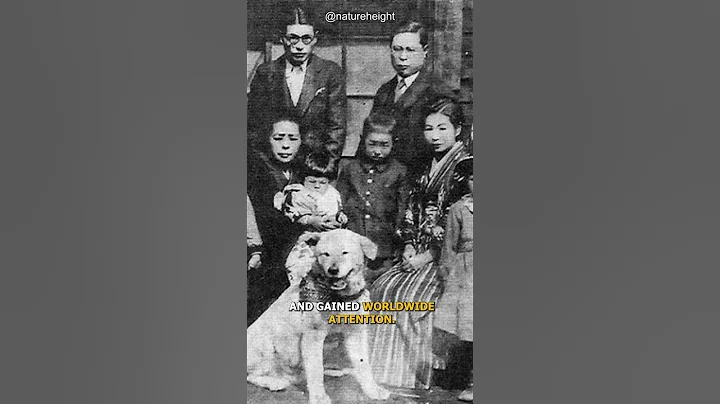 Is Hachiko the Most Loyal Dog Ever Existed ?