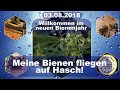 Entdeckungen 03.08.2018 #Bee #Dad zeigt #Imkerei und #Bienen