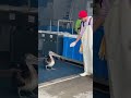 Pre -Cruise -Galveston Pelican on the wharf