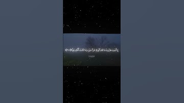 سورة مريم|27_30|القارئ:#محمد_اللحيدان #قران #quran #راحة_نفسية #قران_كريم ##تلاوة_هادئة #تلاوة_خاشعة