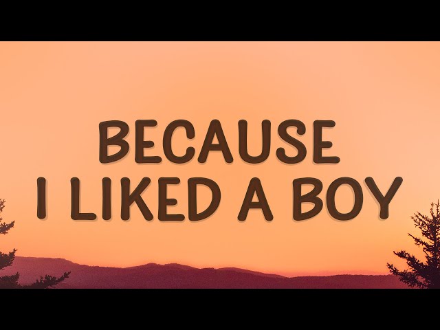 Sabrina Carpenter - because i liked a boy (Lyrics) class=