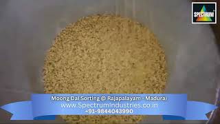 Moong Dal Sorting @ Rajapalayam Madurai mp4