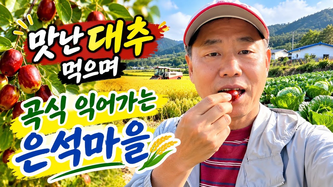 (시골의여유)대추 하나 따먹구 시작한 가을 아침
