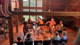 Schubert Cello Quintet - Mvt 1
