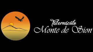 T.M.S. - Domingo 23.08.2026