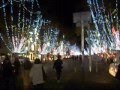 Christmas Illumination in Shizuoka City 2013 静岡市のクリスマスイルミネーション