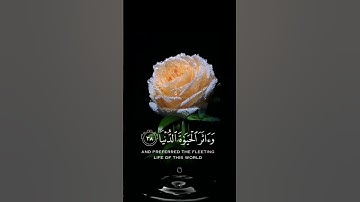 صباح الخير 🍃اجمل حالات واتس اب مقاطع قصيره🍃سورة النازعات فأما من طغى القارئ سالم الرويلي🍃 بدون حقوق