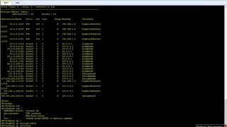 RIP Router Authentication on Huawei Routers