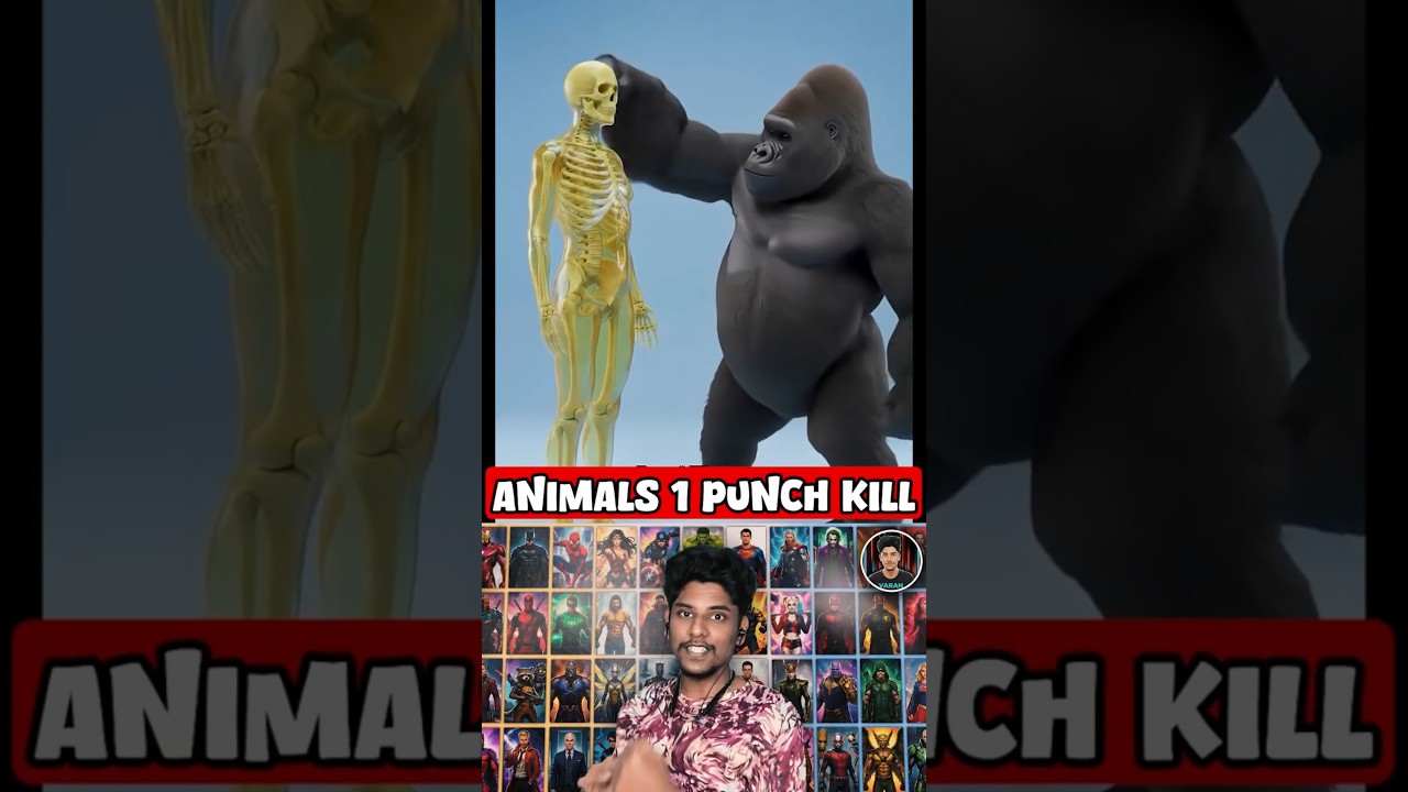 😱 Which Animal Could Knock You Out With 1 Punch? 🦍🦘
