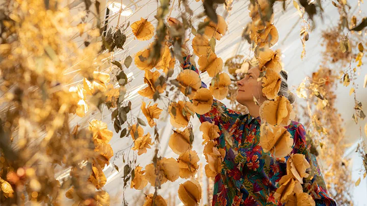 Awakening: Rebecca Louise Law