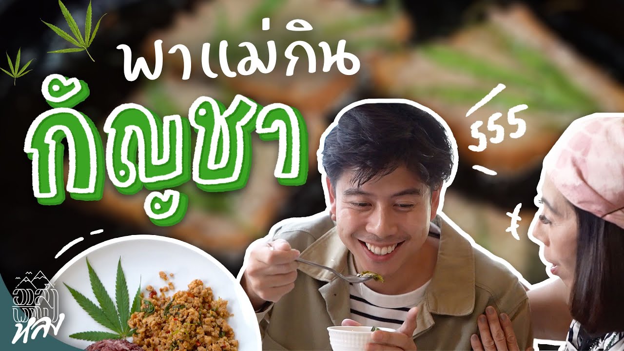 พาแม่ชิม เมนูจากกัญชา!!!! | อาสาพาไปหลง
