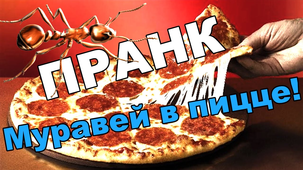 Какая я пицца. ПРАНК пицца заказана. Я заказал пиццу. ПРАНК заказа. Заказывает пиццу в 911.