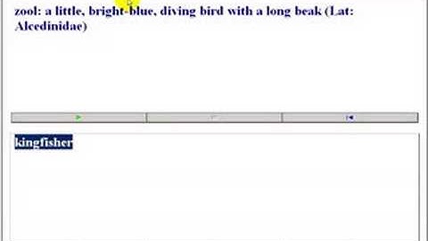 Quickly Adding Images to SuperMemo Take #2