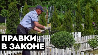 Александр Лукашенко подписал Указ «О садоводческих товариществах». Что изменилось в законе?